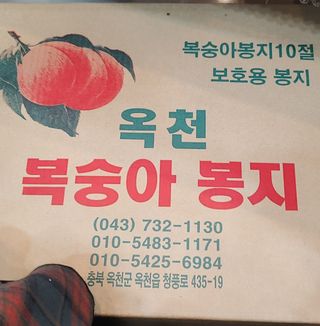 달맛햇복숭아농원님의 복숭아 · 자유게시판 작성글 사진