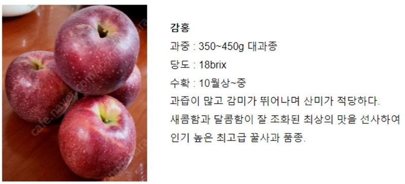 우리농원님의 장터 판매 상품 [이중접목 사과 묘목 <아리수, 감홍, 시나노골드>] 첨부 사진