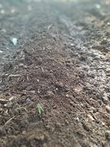 팜모닝 기타작물·자유게시판 게시글 이미지