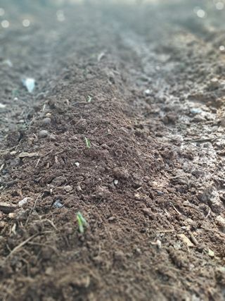 곽해영님의 기타작물 · 자유게시판 작성글 사진