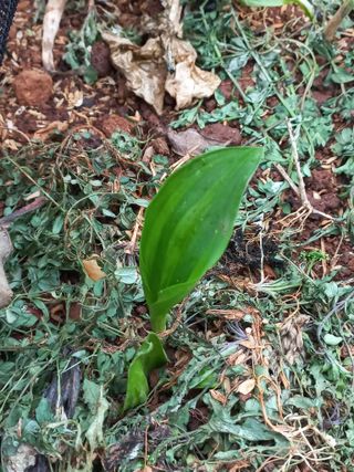 유기농으로키우자님의 자유주제 · 자유게시판 작성글 사진