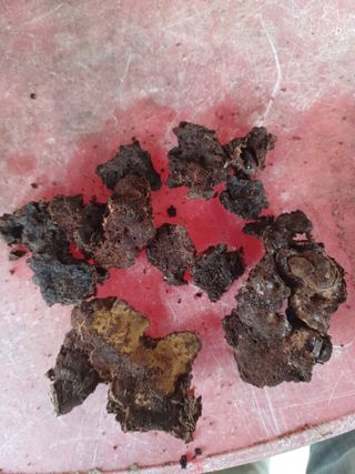 무료지식나눔 팜닥터님의 기타작물 · 자유게시판 작성글 사진