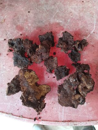 무료지식나눔 팜닥터님의 기타작물 · 자유게시판 작성글 사진