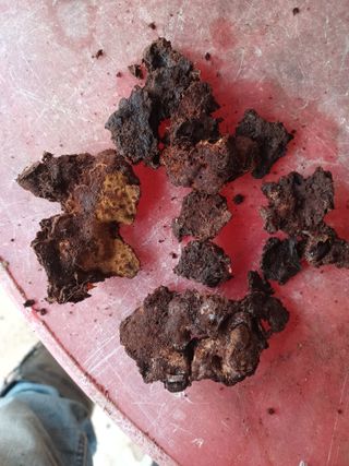 무료지식나눔 팜닥터님의 기타작물 · 자유게시판 작성글 사진