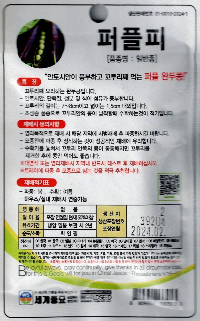 대산농사대장님의 장터 판매 상품 [이색콩 일본종자 퍼플완두씨앗20립] 첨부 사진