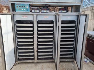 안평식님의 작성글 사진