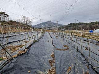 갈산구기자님의 기타작물 · 영농일지 작성글 사진