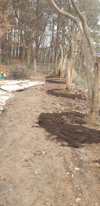 박선화님의 감 · 자유게시판 작성글 사진