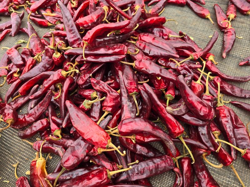 무안정농장님의 장터 판매 상품 [고춧가루 600g 태양초100%] 첨부 사진