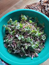 팜모닝 자유주제·자유게시판 게시글 이미지