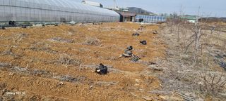 ♡♡♡님의 3월 농사 계획 같이해요 · 참여글 작성글 사진