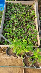 팜모닝 기타작물·자유게시판 게시글 이미지