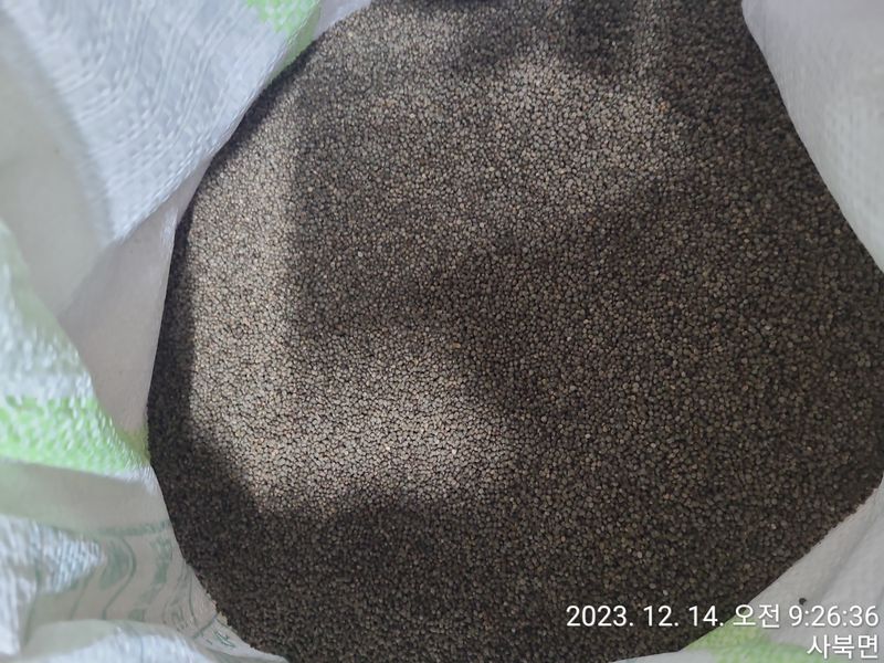 윤인석님의 장터 판매 상품 [들깨(판매완료)] 첨부 사진