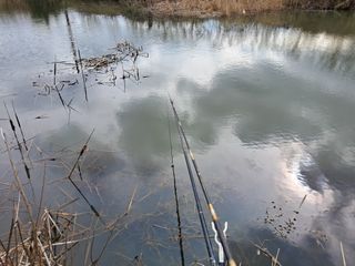 조명희님의 복숭아 · 자유게시판 작성글 사진