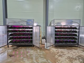 김동수님의 고구마 · 자유게시판 작성글 사진