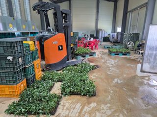 김동수님의 고구마 · 자유게시판 작성글 사진