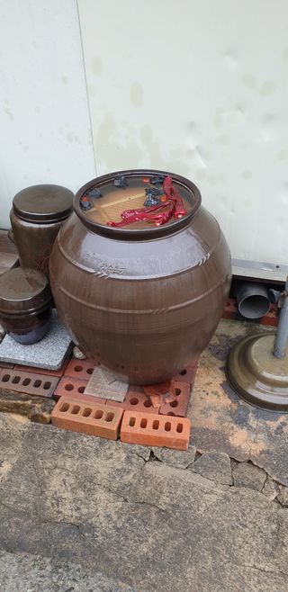 알 수 없음님의 자유주제 · 자유게시판 작성글 사진