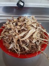 팜모닝 3월 농사 계획 같이해요·참여글 게시글 이미지