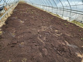 윤창호님의 기타작물 · 영농일지 작성글 사진