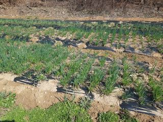 박귀님의 자유주제 · 자유게시판 작성글 사진