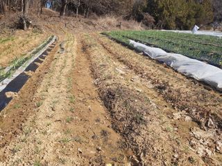 박귀님의 자유주제 · 자유게시판 작성글 사진