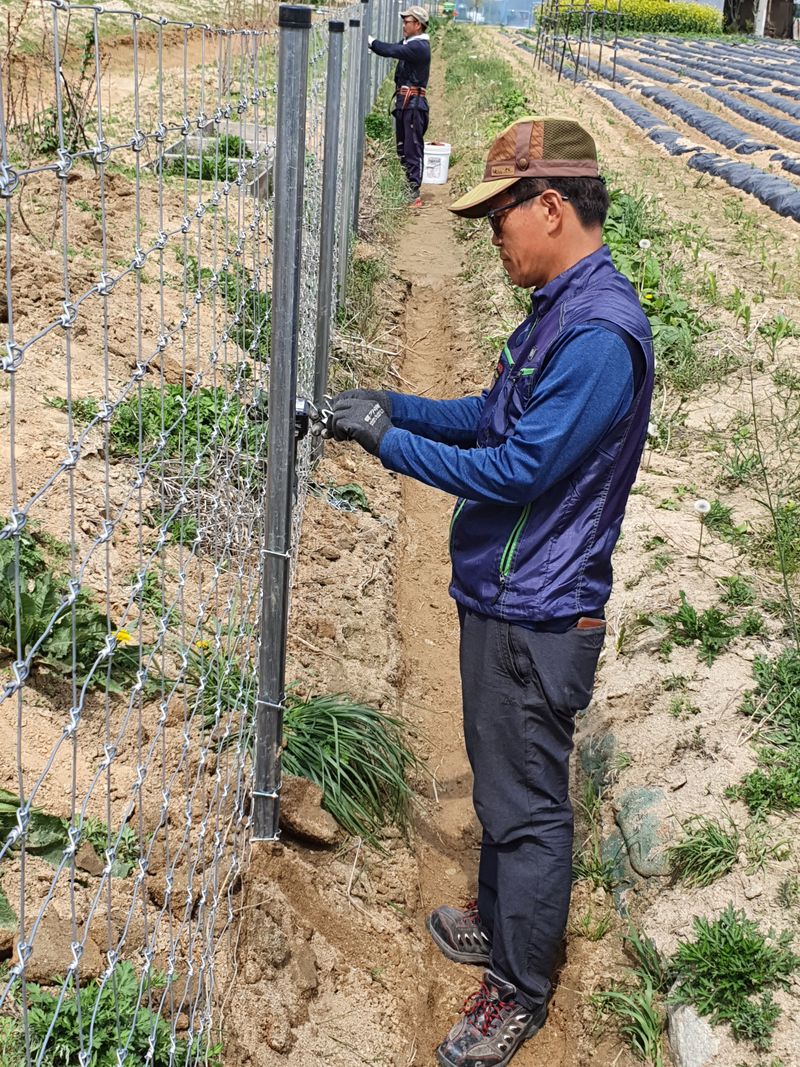김재량  가을이야.님의 장터 판매 상품 [방형형 아연철망 ] 첨부 사진