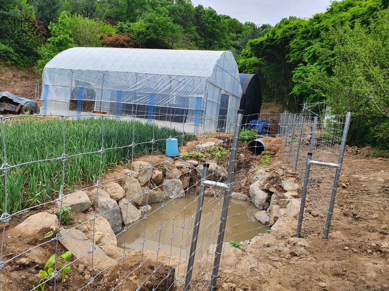 김재량  가을이야.님의 장터 판매 상품 [방형형 아연철망 ] 첨부 사진