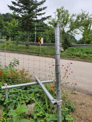 김재량 가을이야.님의 작성글 사진