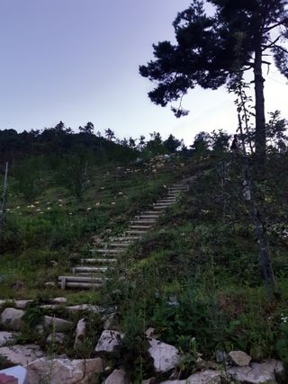 알 수 없음님의 선도농가에 선정된 소감은? · 참여글 작성글 사진