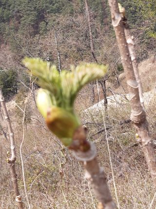 알 수 없음님의 선도농가에 선정된 소감은? · 참여글 작성글 사진