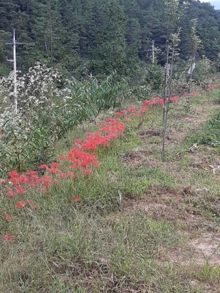 알 수 없음님의 선도농가에 선정된 소감은? · 참여글 작성글 사진