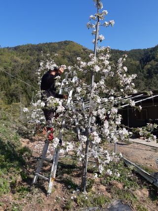 알 수 없음님의 선도농가에 선정된 소감은? · 참여글 작성글 사진