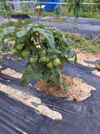 알 수 없음님의 선도농가에 선정된 소감은? · 참여글 작성글 사진