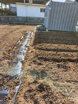 팜모닝 3월 농사 계획 같이해요·참여글 게시글 이미지