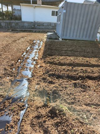 현영초보농부님의 3월 농사 계획 같이해요 · 참여글 작성글 사진