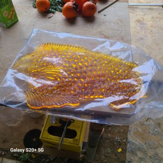 사무엘님의 자유주제 · 자유게시판 작성글 사진