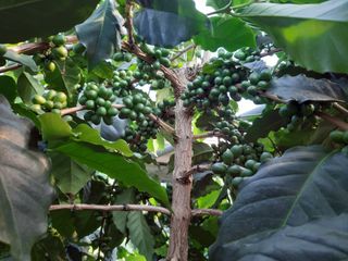 박혁원님의 기타작물 · 자유게시판 작성글 사진