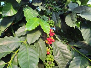 박혁원님의 기타작물 · 자유게시판 작성글 사진