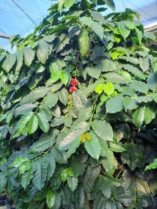 박혁원님의 기타작물 · 자유게시판 작성글 사진