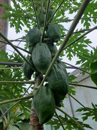 박혁원님의 기타작물 · 자유게시판 작성글 사진