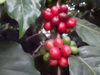 박혁원님의 기타작물 · 자유게시판 작성글 사진