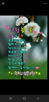 팜모닝 자유주제·자유게시판 게시글 이미지