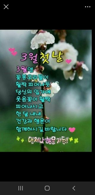 세미골곶감님의 자유주제 · 자유게시판 작성글 사진