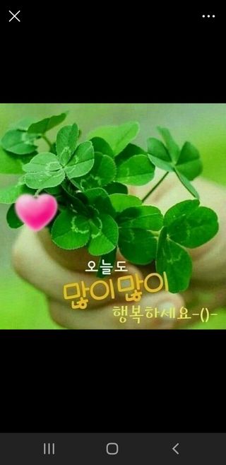 세미골곶감님의 자유주제 · 자유게시판 작성글 사진