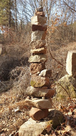 세미골곶감님의 자유주제 · 자유게시판 작성글 사진
