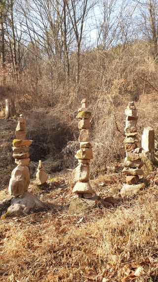 세미골곶감님의 자유주제 · 자유게시판 작성글 사진