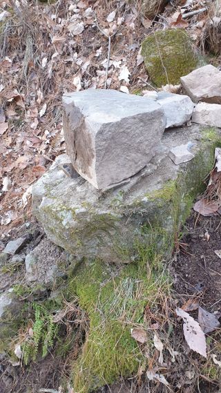 세미골곶감님의 자유주제 · 자유게시판 작성글 사진