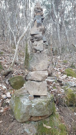 세미골곶감님의 자유주제 · 자유게시판 작성글 사진