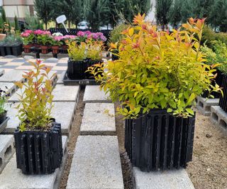 이선미님의 작성글 사진