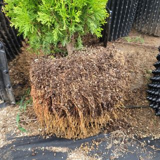 이선미님의 작성글 사진